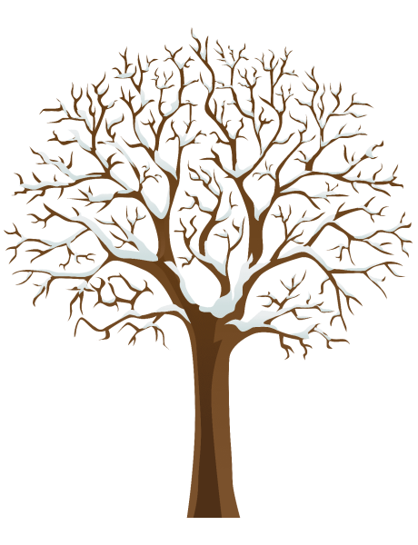 Ветка дерева без листьев