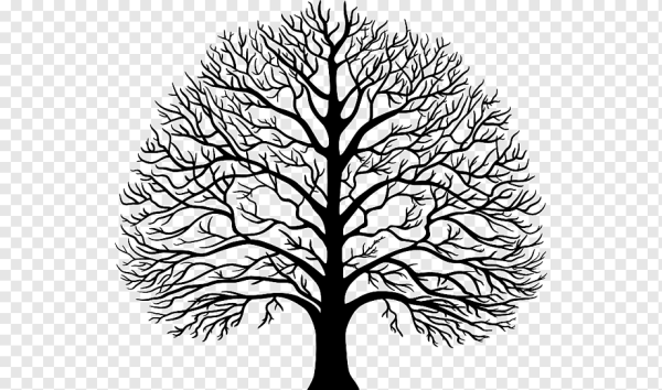 Эскиз дерева легкий