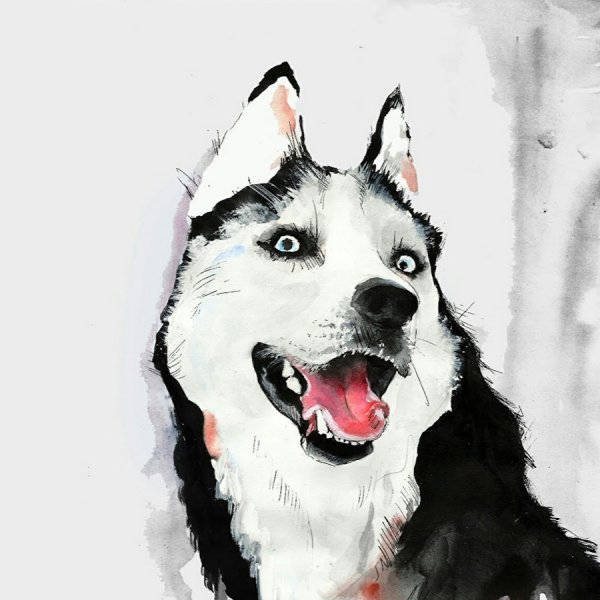 Крутые рисунки собак