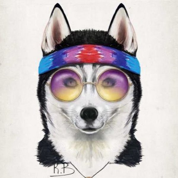 Собака в очках арт