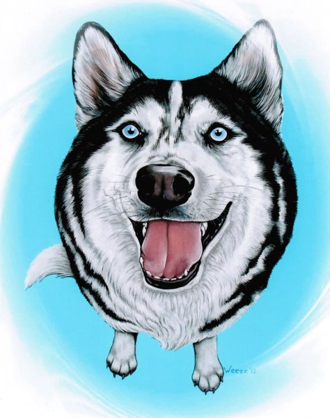 Неоновый хаски