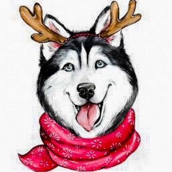 Новогодний хаски рисунок