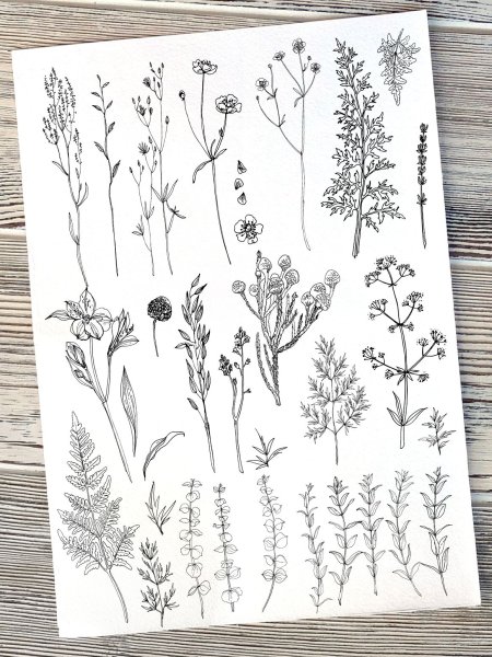 Рисунки для скетчбука цветы лёгкие