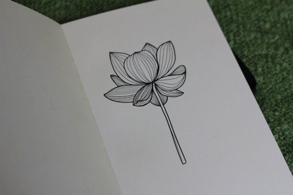 Скетчбук цветы