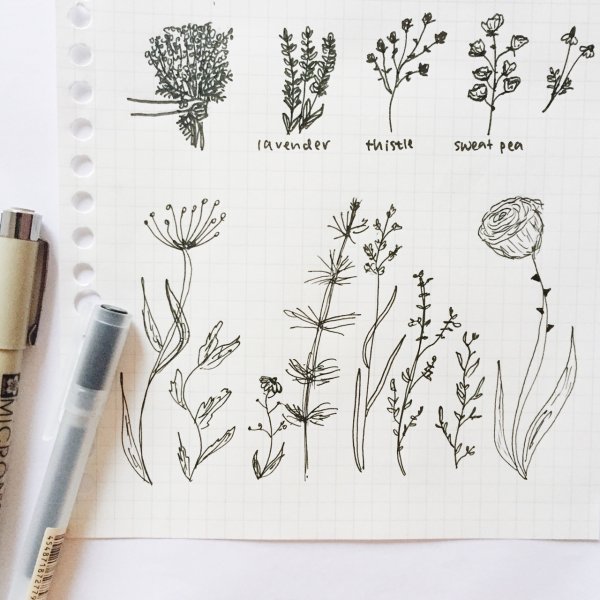 Мелкие цветы эскиз