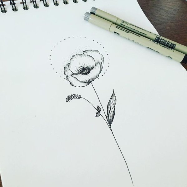 Цветок в горшке эскиз