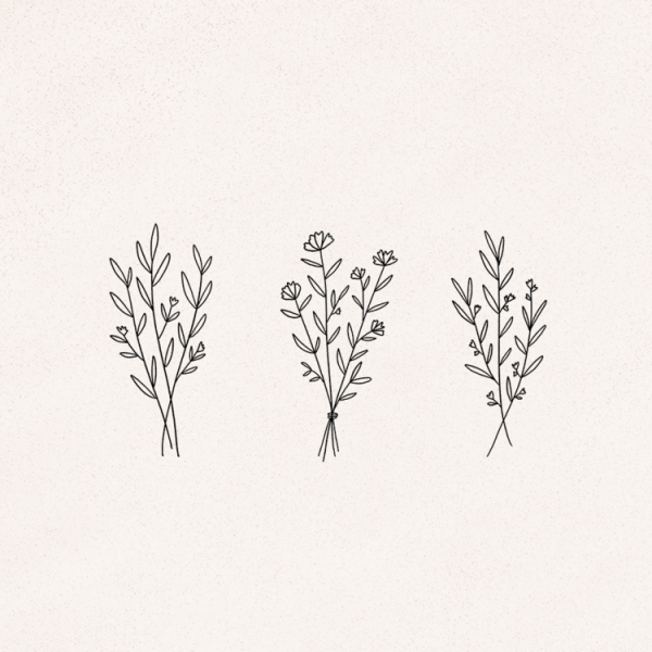 Растения для рисования в скетчбуке