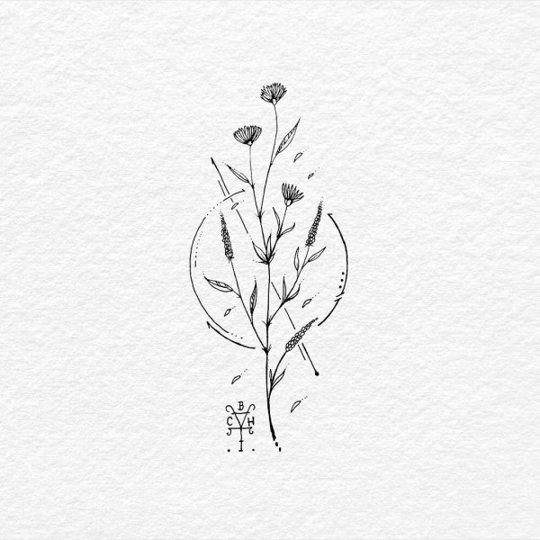 Растения для срисовки легкие в скетчбук