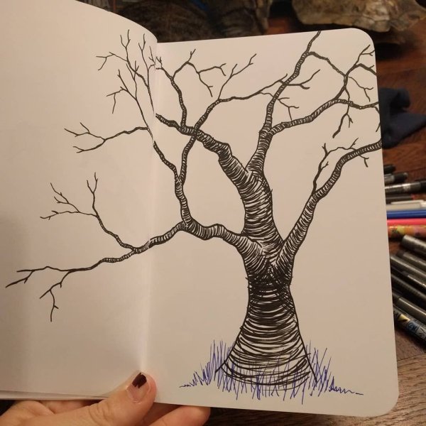 Простой но красивый рисунок дерева