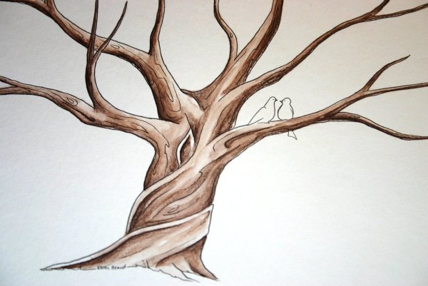 Ствол дерева рисунок