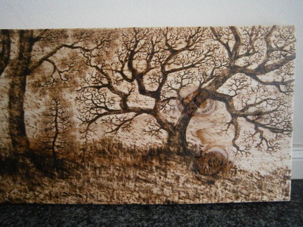 Картины Выжженные на дереве