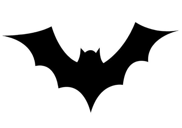 Летучая мышь на белом фоне