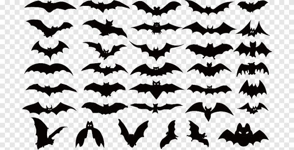 Летучая мышь для срисовки