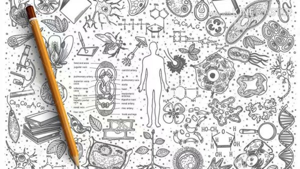 Фон тетрадь