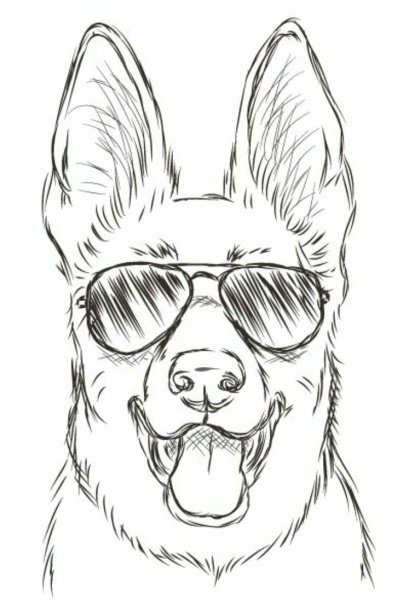 Красивые рисунки для новичков