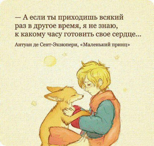 Содержание книги маленький принц