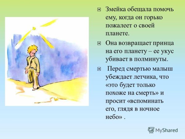 Маленький принц сюжет кратко
