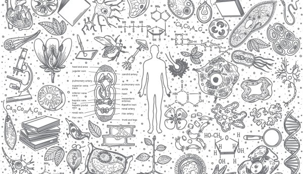 Биология рисунки