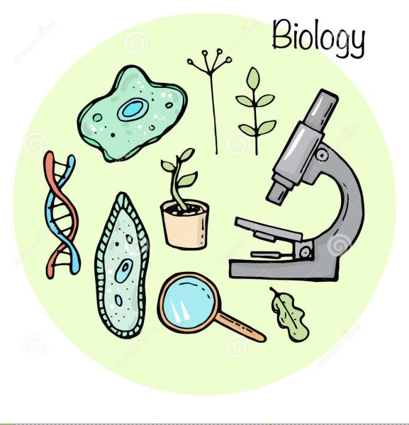 Биология картинки