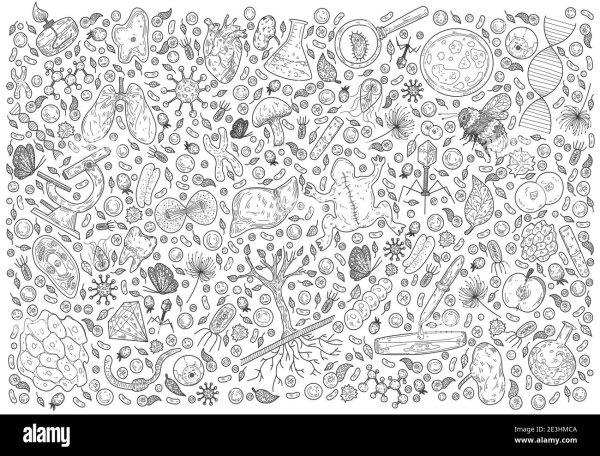 Зарисовки на полях тетради