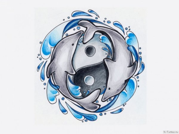 Инь Янь эскиз