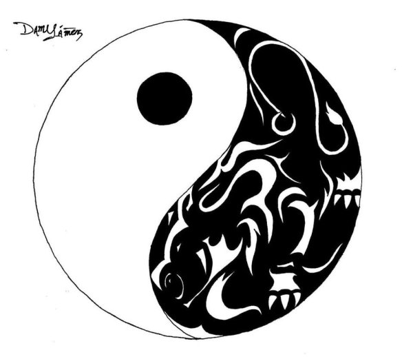 Инь Янь Япония