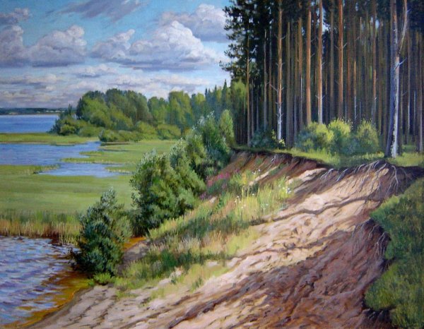 Васькин Бор Белозерский район