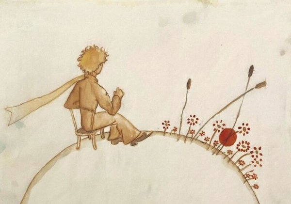 Портрет маленького принца