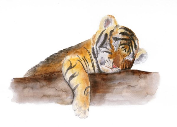 Тигренок акварелью для детей