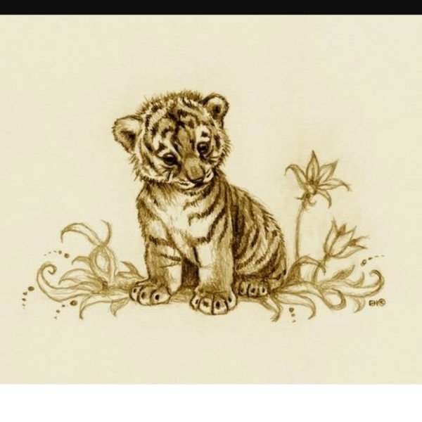 Тату Тигренок маленький эскиз