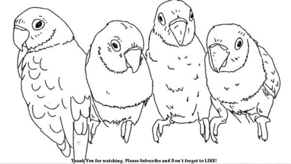 Попугай раскраска для детей