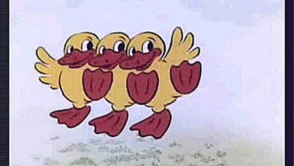 Танец маленьких акулят