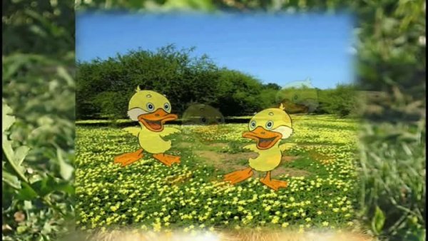 Шагающие утята