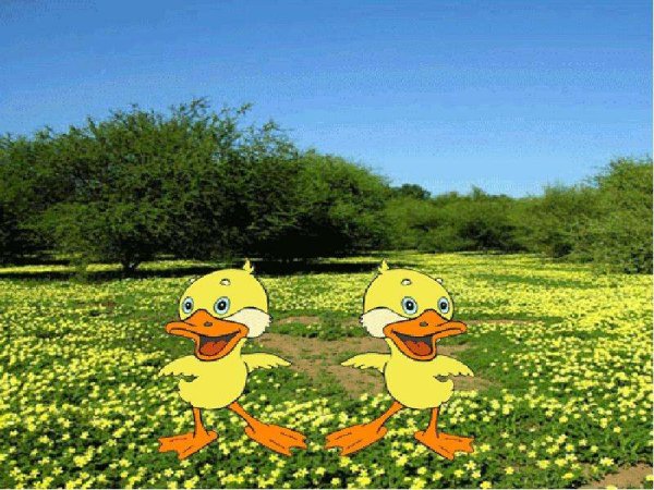 Танец маленьких утят