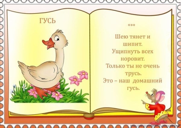 Стихи про животных для детей