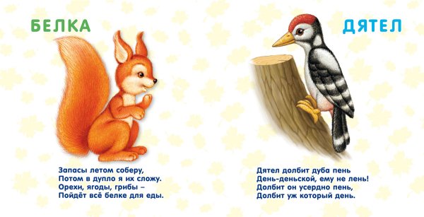 Стихи для малышей про лесных животных