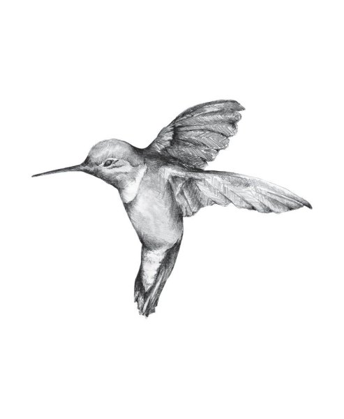 Тату птичка Колибри эскизы