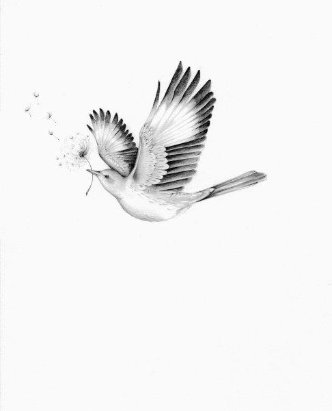 Тату птица в полете