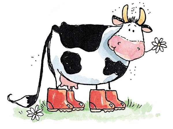 Смешные коровы