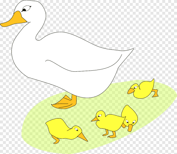 Утка с утятами рисунок