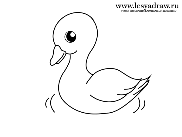 Утка раскраска
