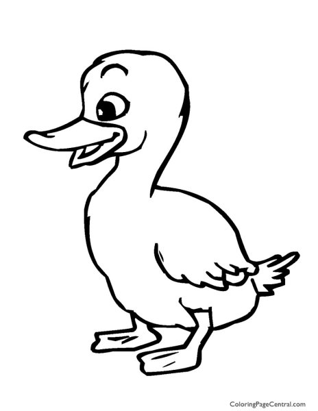 Утёнок раскраска для детей