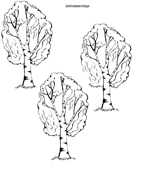 Березка рисунок