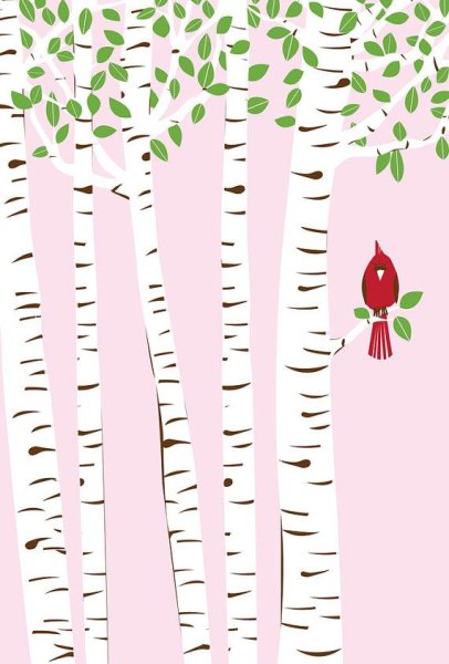 Дерево береза в садик