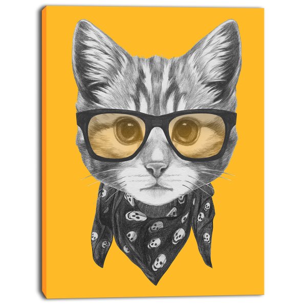 Кот в очках