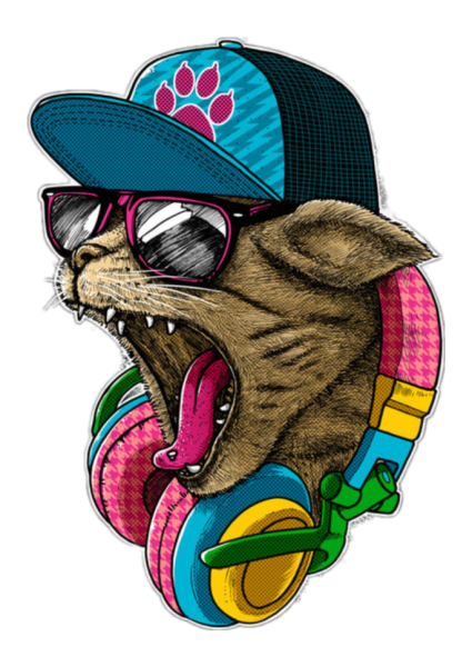 Кот в бейсболке