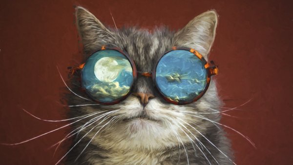 Крутые коты