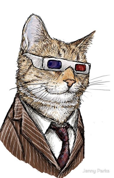 Кот в очках