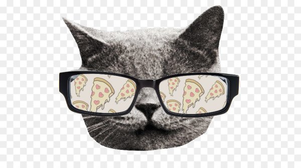 Аватар кот в очках