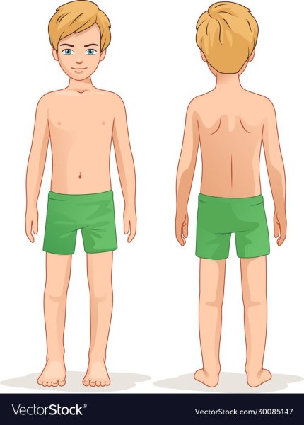 Зарисовки идущего человека